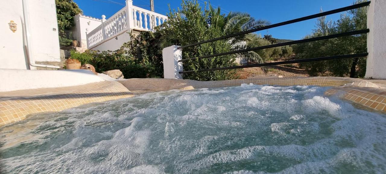 Mansion Alba Villa Алкаудете Екстериор снимка