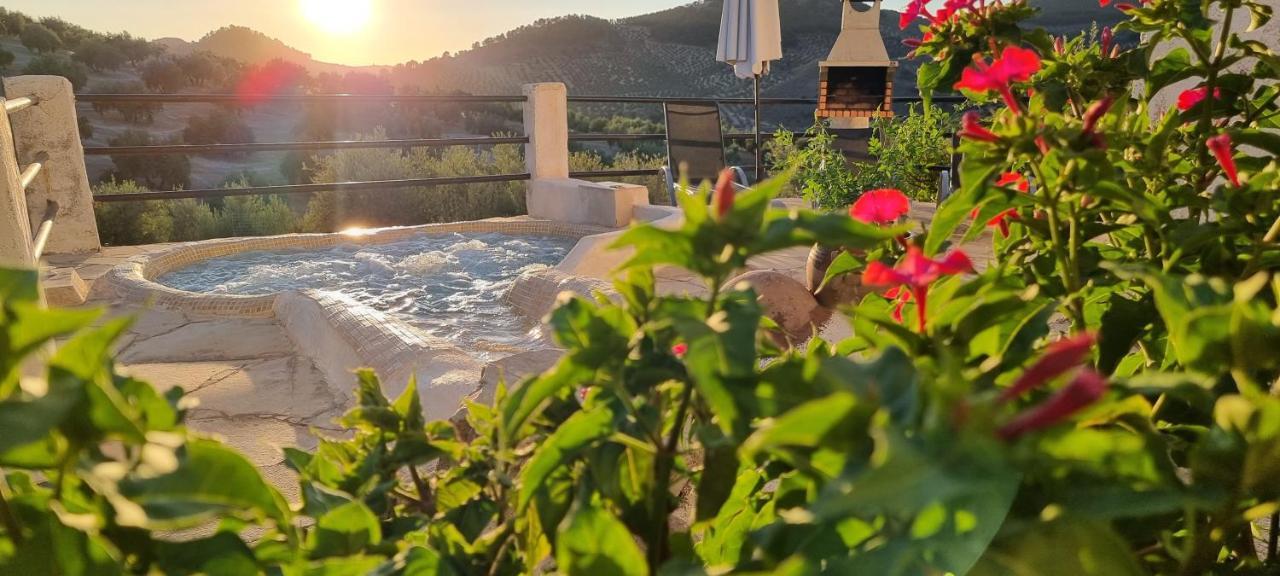 Mansion Alba Villa Алкаудете Екстериор снимка
