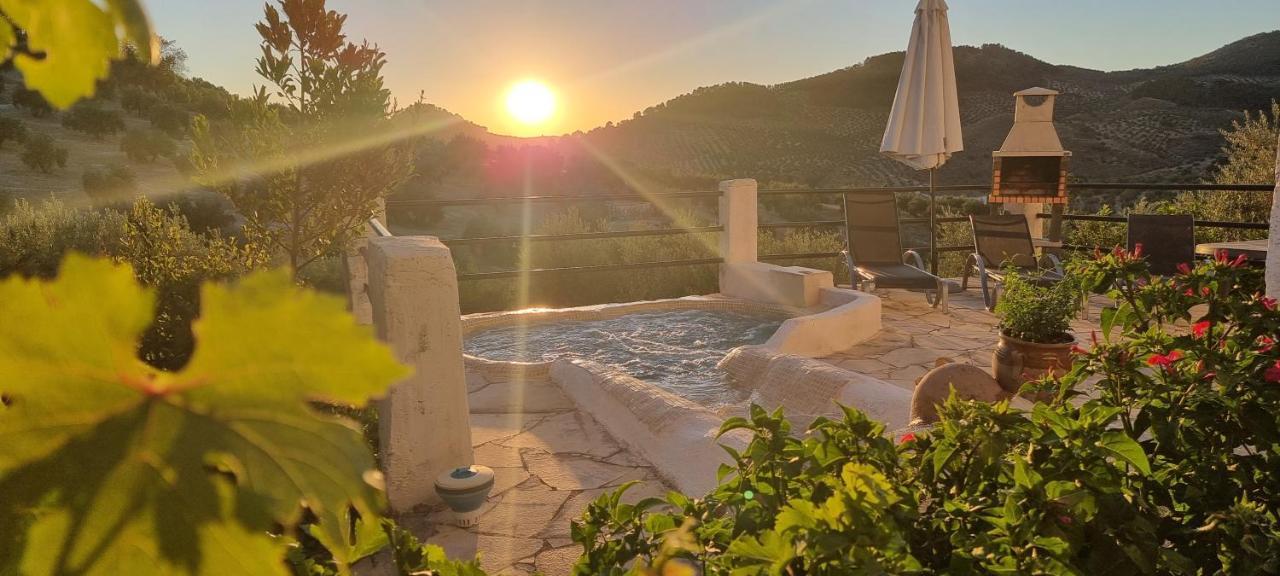 Mansion Alba Villa Алкаудете Екстериор снимка